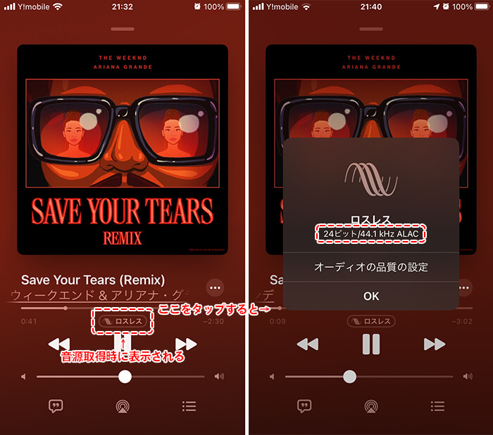 ロスレス（24ビット/44.1kHz ALAC）と表示されました。